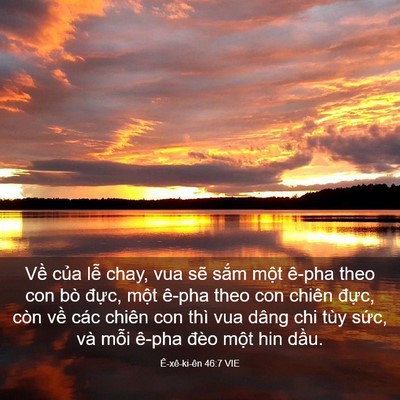 Picture 03 - Ê-xê-ki-ên 46:7 VIE - Về của lễ chay, vua sẽ sắm một ê-pha - Bible Verse Picture