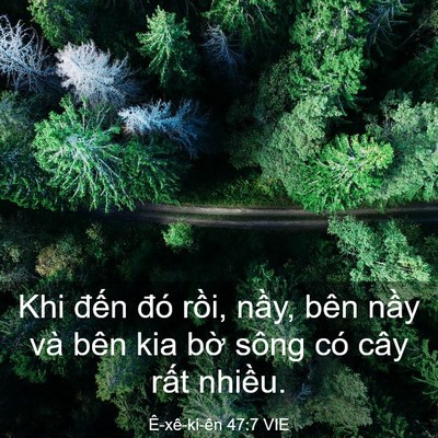 Picture 03 - Ê-xê-ki-ên 47:7 VIE - Khi đến đó rồi, nầy, bên nầy và bên - Bible Verse Picture