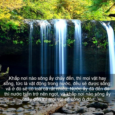Picture 03 - Ê-xê-ki-ên 47:9 VIE - Khắp nơi nào sông ấy chảy đến, thì - Bible Verse Picture