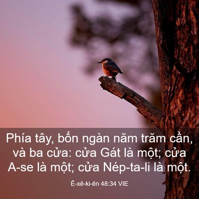 Picture 03 - Ê-xê-ki-ên 48:34 VIE - Phía tây, bốn ngàn năm trăm cần, và ba - Bible Verse Picture