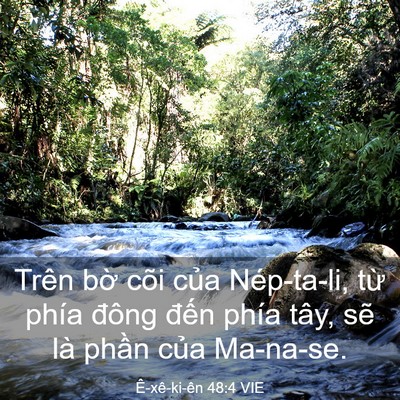 Picture 03 - Ê-xê-ki-ên 48:4 VIE - Trên bờ cõi của Nép-ta-li, từ phía - Bible Verse Picture