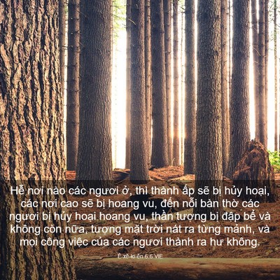 Picture 03 - Ê-xê-ki-ên 6:6 VIE - Hễ nơi nào các ngươi ở, thì thành ấp - Bible Verse Picture