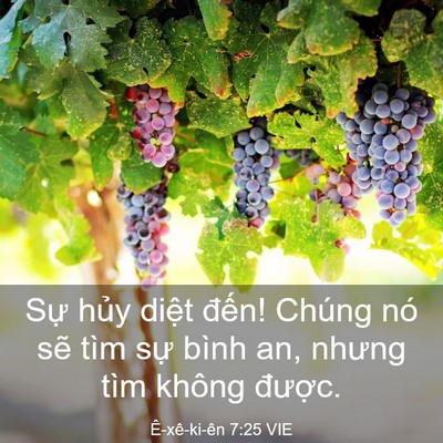 Picture 03 - Ê-xê-ki-ên 7:25 VIE - Sự hủy diệt đến! Chúng nó sẽ tìm - Bible Verse Picture