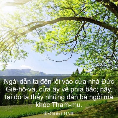 Picture 03 - Ê-xê-ki-ên 8:14 VIE - Ngài dẫn ta đến lối vào cửa nhà - Bible Verse Picture