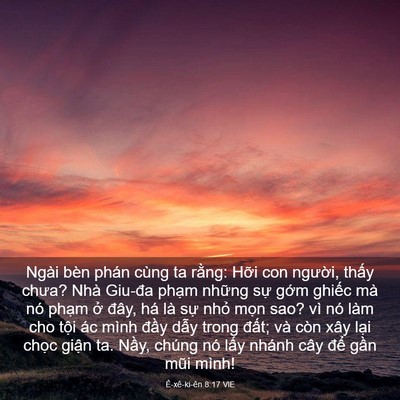 Picture 03 - Ê-xê-ki-ên 8:17 VIE - Ngài bèn phán cùng ta rằng: Hỡi con - Bible Verse Picture
