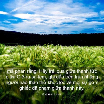 Picture 03 - Ê-xê-ki-ên 9:4 VIE - mà phán rằng: Hãy trải qua giữa thành - Bible Verse Picture