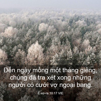 Picture 03 - Ê-xơ-ra 10:17 VIE - Đến ngày mồng một tháng giêng, chúng - Bible Verse Picture