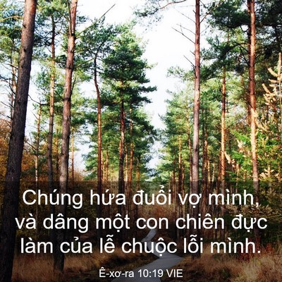 Picture 03 - Ê-xơ-ra 10:19 VIE - Chúng hứa đuổi vợ mình, và dâng một - Bible Verse Picture
