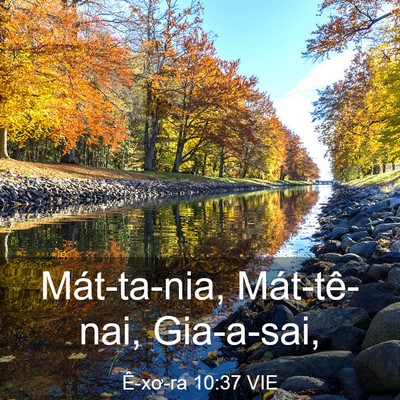 Picture 03 - Ê-xơ-ra 10:37 VIE - Mát-ta-nia, Mát-tê-nai, - Bible Verse Picture
