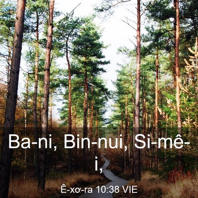 Picture 03 - Ê-xơ-ra 10:38 VIE - Ba-ni, Bin-nui, - Bible Verse Picture
