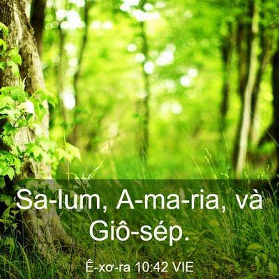 Picture 03 - Ê-xơ-ra 10:42 VIE - Sa-lum, A-ma-ria, và - Bible Verse Picture