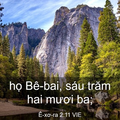 Picture 03 - Ê-xơ-ra 2:11 VIE - họ Bê-bai, sáu trăm hai mươi - Bible Verse Picture