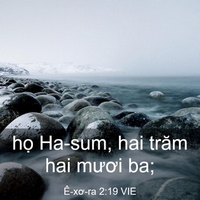 Picture 03 - Ê-xơ-ra 2:19 VIE - họ Ha-sum, hai trăm hai mươi - Bible Verse Picture