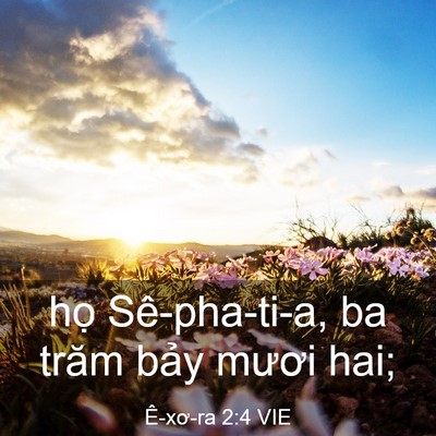 Picture 03 - Ê-xơ-ra 2:4 VIE - họ Sê-pha-ti-a, ba trăm bảy mươi - Bible Verse Picture