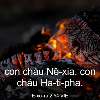 Picture 03 - Ê-xơ-ra 2:54 VIE - con cháu Nê-xia, con cháu - Bible Verse Picture