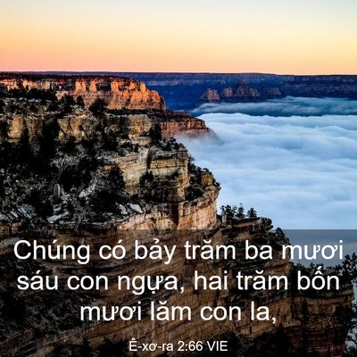Picture 03 - Ê-xơ-ra 2:66 VIE - Chúng có bảy trăm ba mươi sáu con ngựa, - Bible Verse Picture