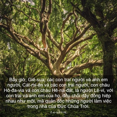 Picture 03 - Ê-xơ-ra 3:9 VIE - Bấy giờ, Giê-sua, các con trai người và - Bible Verse Picture