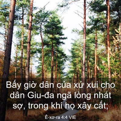 Picture 03 - Ê-xơ-ra 4:4 VIE - Bấy giờ dân của xứ xui cho dân Giu-đa - Bible Verse Picture