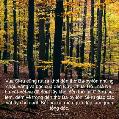 Picture 03 - Ê-xơ-ra 5:14 VIE - Vua Si-ru cũng rút ra khỏi đền thờ - Bible Verse Picture
