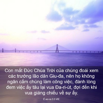 Picture 03 - Ê-xơ-ra 5:5 VIE - Con mắt Đức Chúa Trời của chúng đoái - Bible Verse Picture