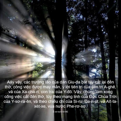 Picture 03 - Ê-xơ-ra 6:14 VIE - Aáy vậy, các trưởng lão của dân - Bible Verse Picture