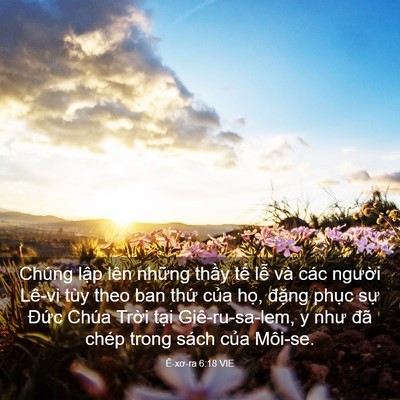 Picture 03 - Ê-xơ-ra 6:18 VIE - Chúng lập lên những thầy tế lễ và - Bible Verse Picture
