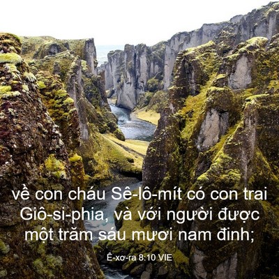 Picture 03 - Ê-xơ-ra 8:10 VIE - về con cháu Sê-lô-mít có con trai - Bible Verse Picture