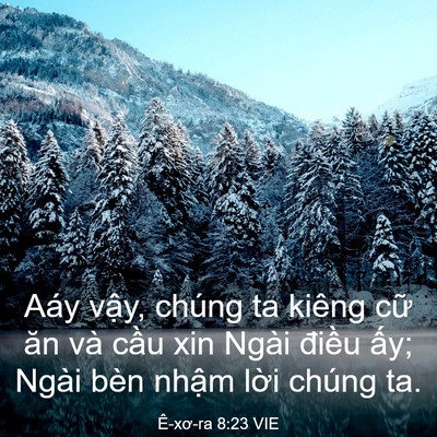 Picture 03 - Ê-xơ-ra 8:23 VIE - Aáy vậy, chúng ta kiêng cữ ăn và cầu - Bible Verse Picture
