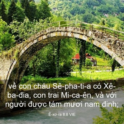 Picture 03 - Ê-xơ-ra 8:8 VIE - về con cháu Sê-pha-ti-a có Xê-ba-đia, con - Bible Verse Picture