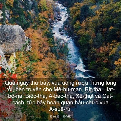 Picture 03 - Ê-xơ-tê 1:10 VIE - Qua ngày thứ bảy, vua uống rượu, hứng - Bible Verse Picture