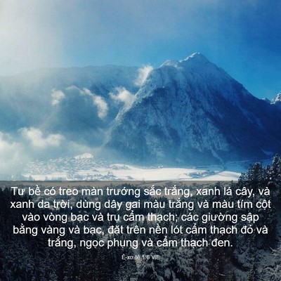 Picture 03 - Ê-xơ-tê 1:6 VIE - Tư bề có treo màn trướng sắc trắng, - Bible Verse Picture