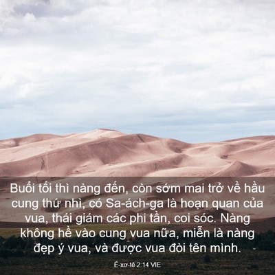 Picture 03 - Ê-xơ-tê 2:14 VIE - Buổi tối thì nàng đến, còn sớm mai - Bible Verse Picture