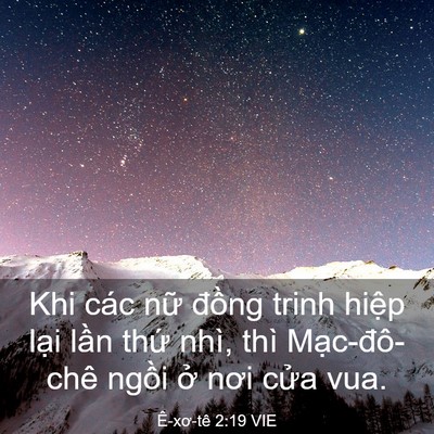 Picture 03 - Ê-xơ-tê 2:19 VIE - Khi các nữ đồng trinh hiệp lại lần - Bible Verse Picture