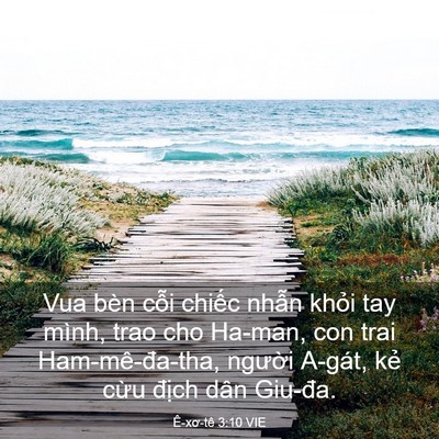 Picture 03 - Ê-xơ-tê 3:10 VIE - Vua bèn cỗi chiếc nhẫn khỏi tay mình, - Bible Verse Picture