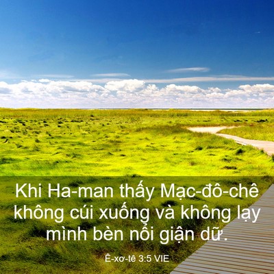 Picture 03 - Ê-xơ-tê 3:5 VIE - Khi Ha-man thấy Mạc-đô-chê không cúi - Bible Verse Picture