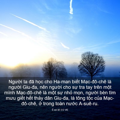 Picture 03 - Ê-xơ-tê 3:6 VIE - Người ta đã học cho Ha-man biết - Bible Verse Picture