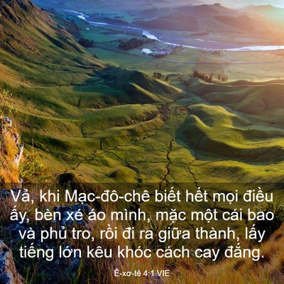 Picture 03 - Ê-xơ-tê 4:1 VIE - Vả, khi Mạc-đô-chê biết hết mọi - Bible Verse Picture