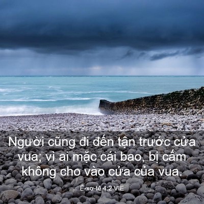 Picture 03 - Ê-xơ-tê 4:2 VIE - Người cũng đi đến tận trước cửa - Bible Verse Picture