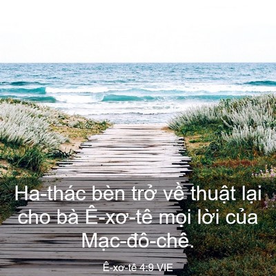 Picture 03 - Ê-xơ-tê 4:9 VIE - Ha-thác bèn trở về thuật lại cho bà - Bible Verse Picture