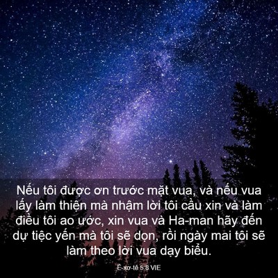 Picture 03 - Ê-xơ-tê 5:8 VIE - Nếu tôi được ơn trước mặt vua, và - Bible Verse Picture
