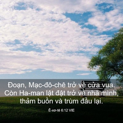 Picture 03 - Ê-xơ-tê 6:12 VIE - Đoạn, Mạc-đô-chê trở về cửa vua. - Bible Verse Picture