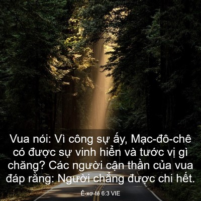 Picture 03 - Ê-xơ-tê 6:3 VIE - Vua nói: Vì công sự ấy, Mạc-đô-chê - Bible Verse Picture
