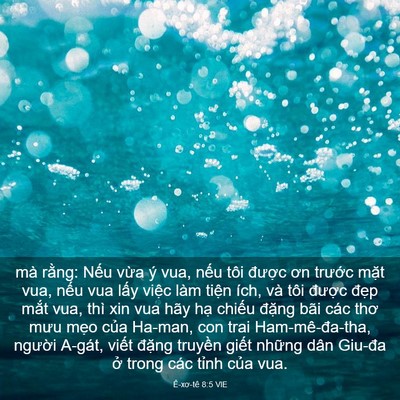 Picture 03 - Ê-xơ-tê 8:5 VIE - mà rằng: Nếu vừa ý vua, nếu tôi - Bible Verse Picture