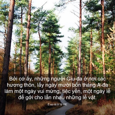 Picture 03 - Ê-xơ-tê 9:19 VIE - Bởi cớ ấy, những người Giu-đa ở - Bible Verse Picture