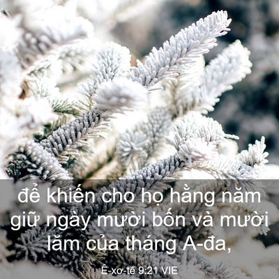 Picture 03 - Ê-xơ-tê 9:21 VIE - để khiến cho họ hằng năm giữ ngày - Bible Verse Picture
