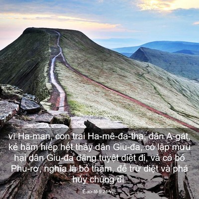 Picture 03 - Ê-xơ-tê 9:24 VIE - vì Ha-man, con trai Ha-mê-đa-tha, dân A-gát, - Bible Verse Picture