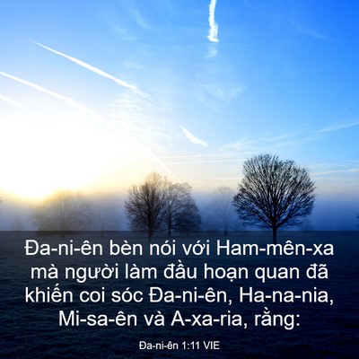 Picture 03 - Ða-ni-ên 1:11 VIE - Đa-ni-ên bèn nói với Ham-mên-xa mà - Bible Verse Picture