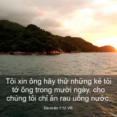 Picture 03 - Ða-ni-ên 1:12 VIE - Tôi xin ông hãy thử những kẻ tôi tớ - Bible Verse Picture