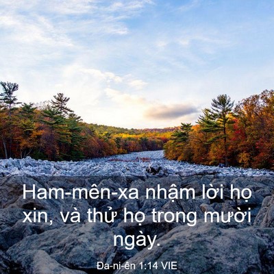 Picture 03 - Ða-ni-ên 1:14 VIE - Ham-mên-xa nhậm lời họ xin, và thử họ - Bible Verse Picture