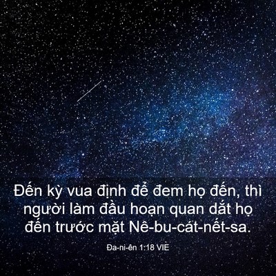 Picture 03 - Ða-ni-ên 1:18 VIE - Đến kỳ vua định để đem họ đến, - Bible Verse Picture